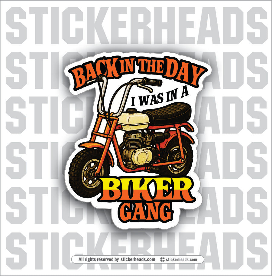 BACK IN THE DAY I WAS IN A BIKER GANG - Biker Misc Funny Sticker