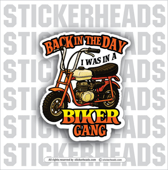 BACK IN THE DAY I WAS IN A BIKER GANG - Biker Misc Funny Sticker