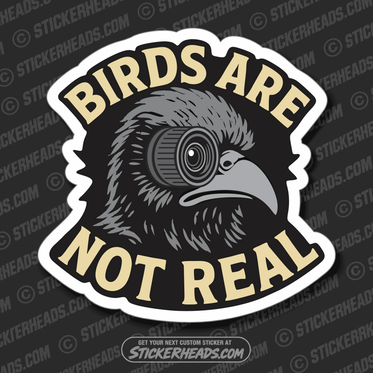 BIRDS ARE NOT REAL  - Conspiracy Sticker
