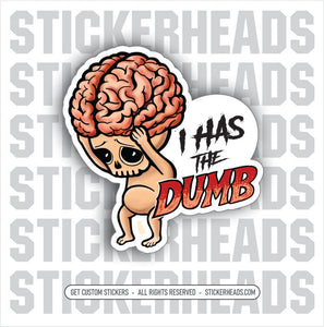 I HAS THE DUMB - BRAIN -  Funny Sticker