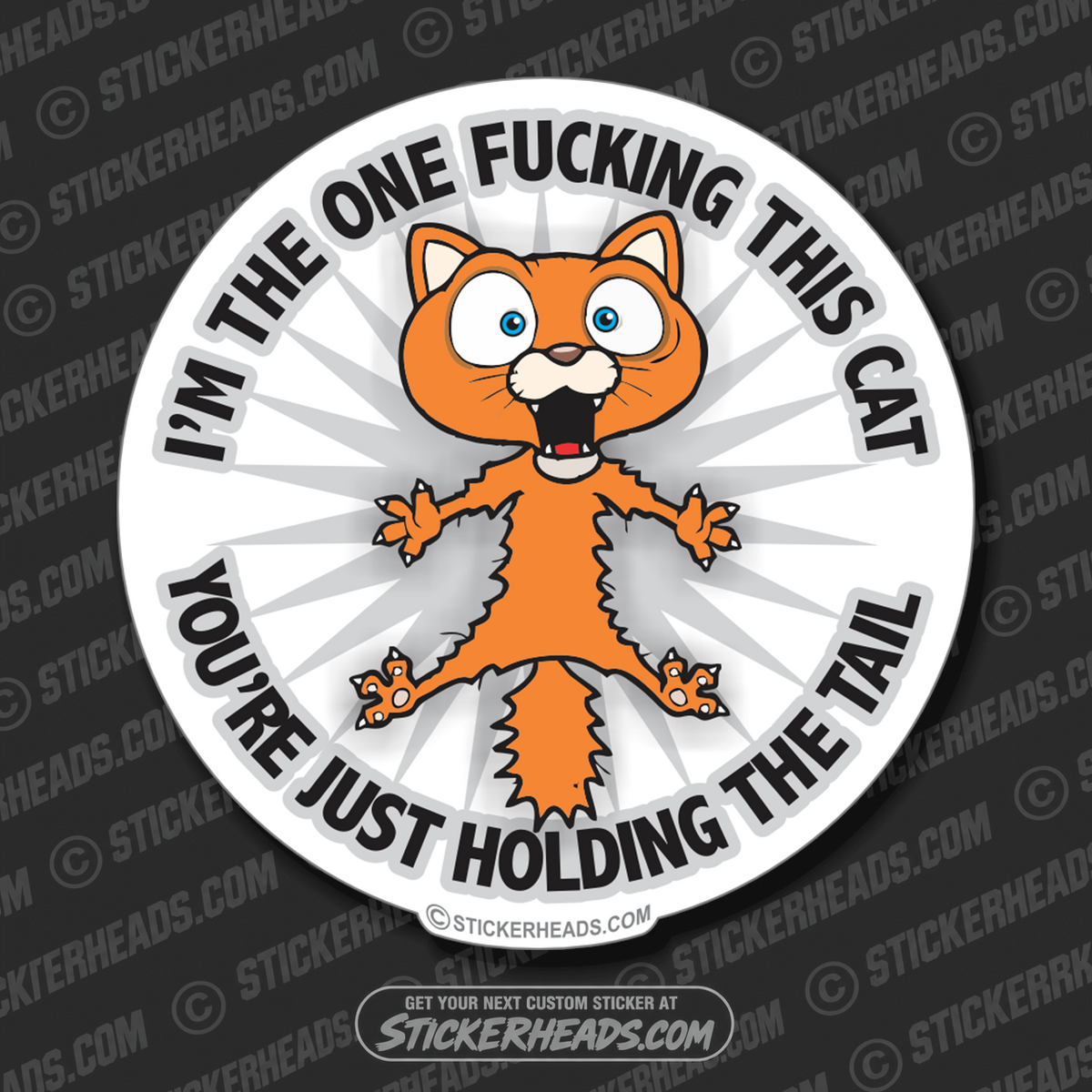 I'm the one FUCKING THIS CAT    - Funny Sticker