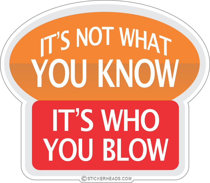 IT'S NOT WHAT YOU KNOW, IT'S WHO YOU KNOW  -  Union Misc Funny Sticker