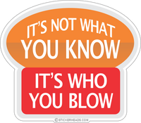 ITS NOT WHAT YOU KNOW ITS WHO YOU BLOW