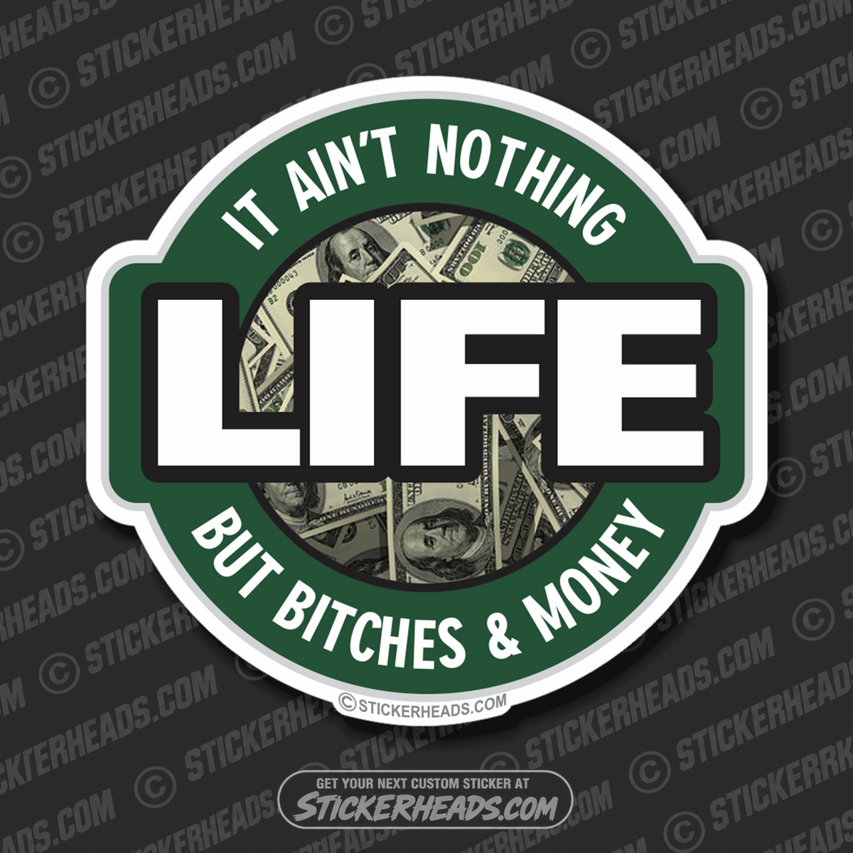 Life Nothing but Bitches and Money - Funny Sticker