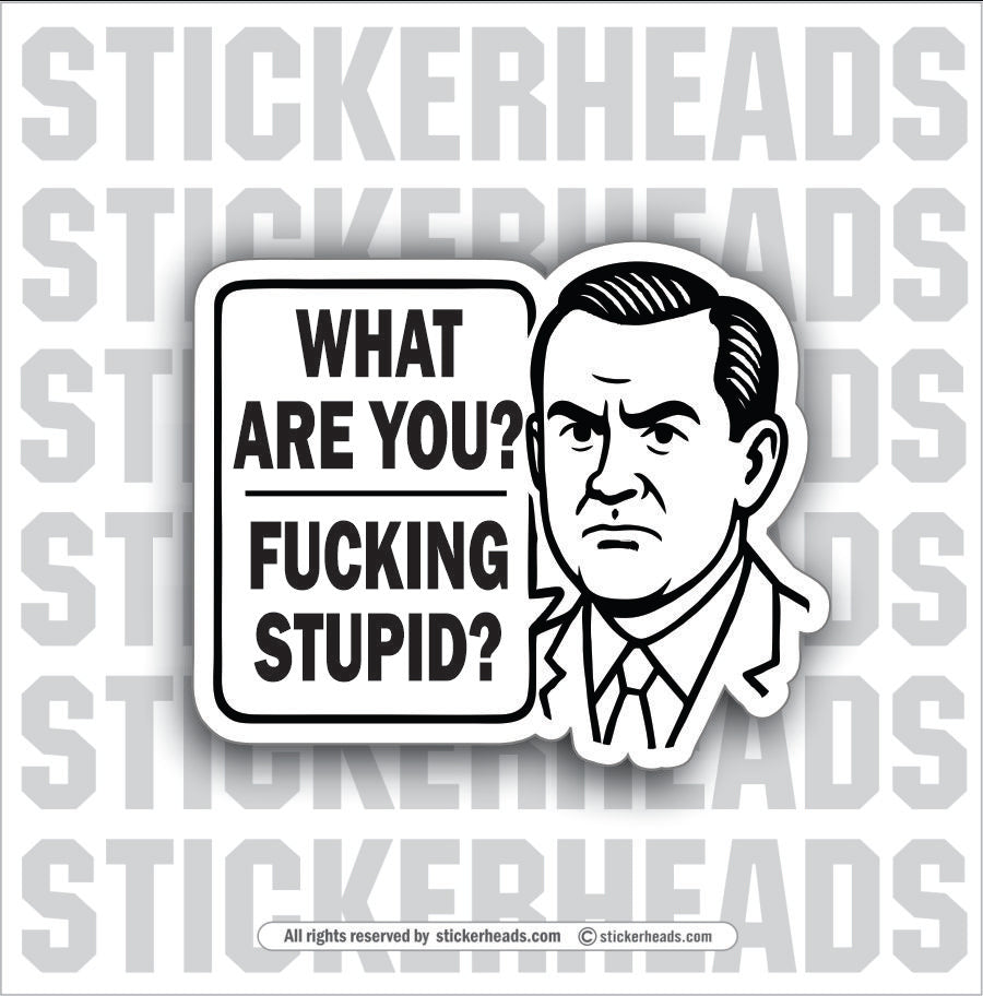 WHAT ARE YOU FUCKING STUPID - PARENT SAYINGS - Misc Funny Sticker