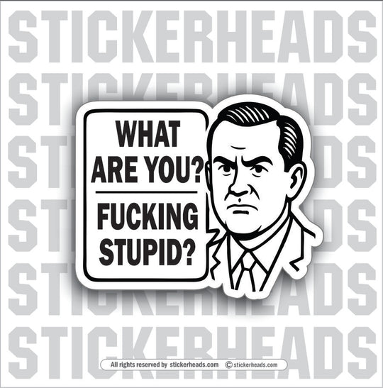 WHAT ARE YOU FUCKING STUPID - PARENT SAYINGS - Misc Funny Sticker