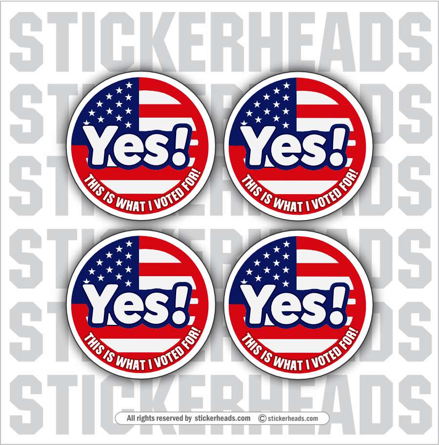 YES! THIS IS WHAT I VOTED FOR! -  Political Sticker