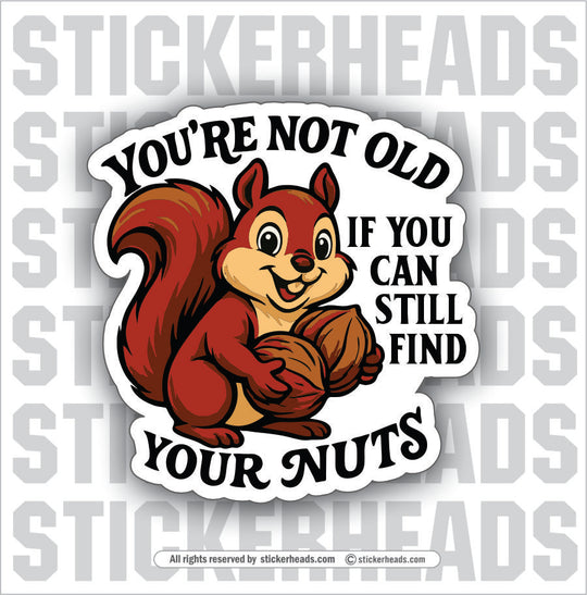 YOURE NOT OLD IF YOU CAN STILL FIND YOUR NUTS  - SQUIRREL Funny Sticker