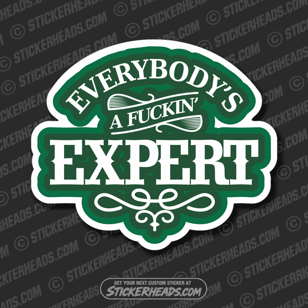 Everybody's A Fuckin' Expert  - Funny Sticker