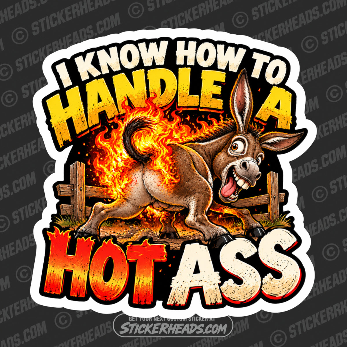 KNOW HOW TO HANDLE A HOT ASS
