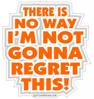 There Is NO WAY I'm Not Gonna REGRET THIS   - Funny Sticker
