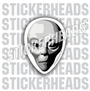 Grey Alien Head - Conspiracy Sticker