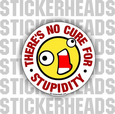 There's No Cure For STUPIDITY   - Work Job Sticker