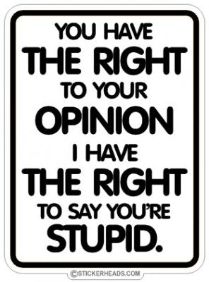 Have The Right to Your Opinion  Say You're Stupid - Funny Sticker