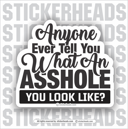 Anyone Ever Tell You What An ASSHOLE You Look Like?   - Funny Sticker