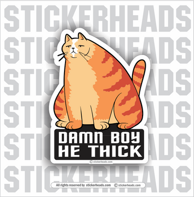 DAMN BOY HE THICK - FAT CAT - Funny Sticker