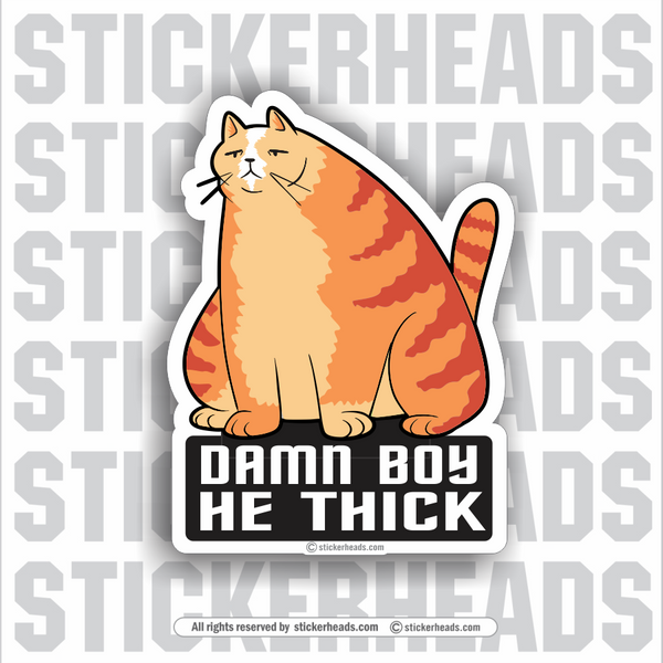 DAMN BOY HE THICK - FAT CAT - Funny Sticker