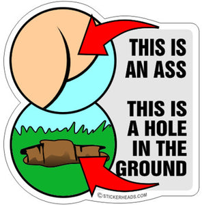 This IS AN ASS This Is a HOLE  - Funny Sticker