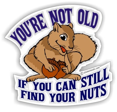 You're Not Old if You Can Still Find Your Nuts  Squirrel - Funny Sticker