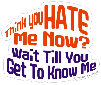 Think You HATE me now?  -  Funny Sticker