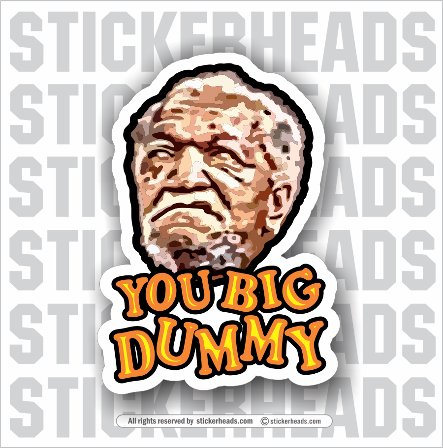 You Big Dummy  -  Funny Work Sticker