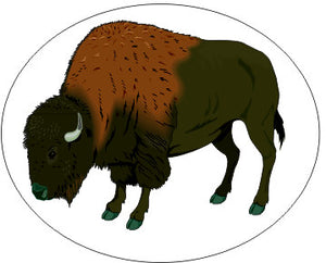 Buffalo -Oval- Native Indian American Sticker