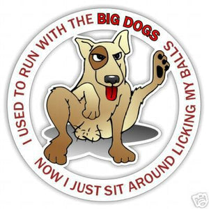 Use To Run With The Big Dogs  Sit Licking my Balls - Funny Sticker