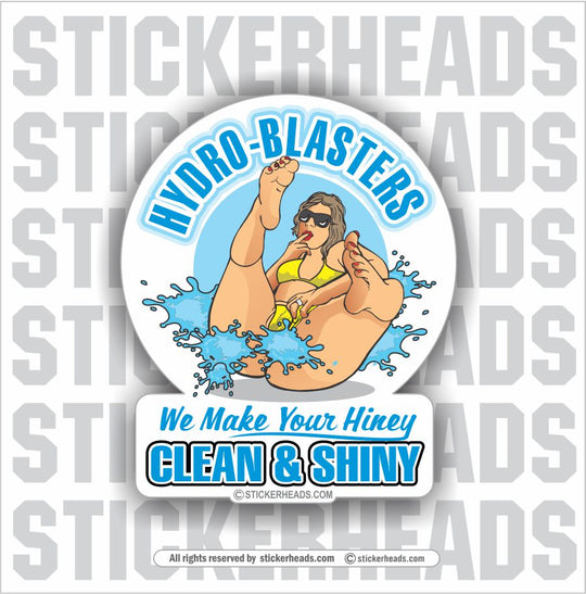 We Make Your Hiney Clean & Shiney - Hydro Blaster Blasting- Sexy Chick Sticker