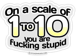 Scale of 1 to 10 You Are Fucking Stupid  - Funny Sticker