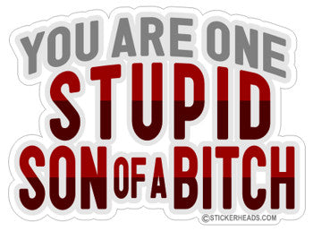You ARe One Stupid Son Of A Bitch  - Funny  Sticker
