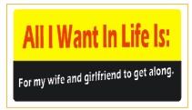 All I Want In Life - Attitude Sticker